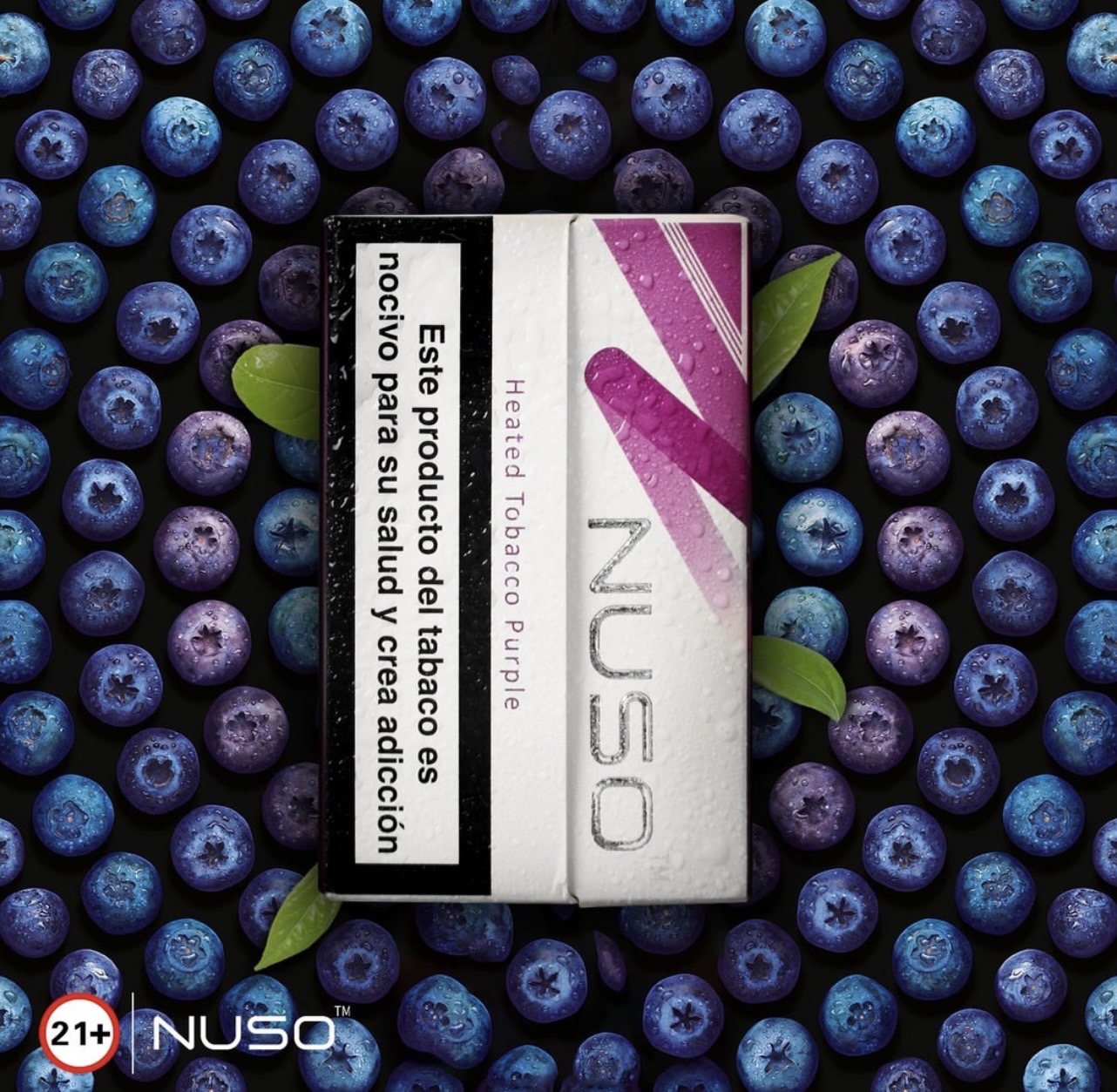 نوسو بلوبری