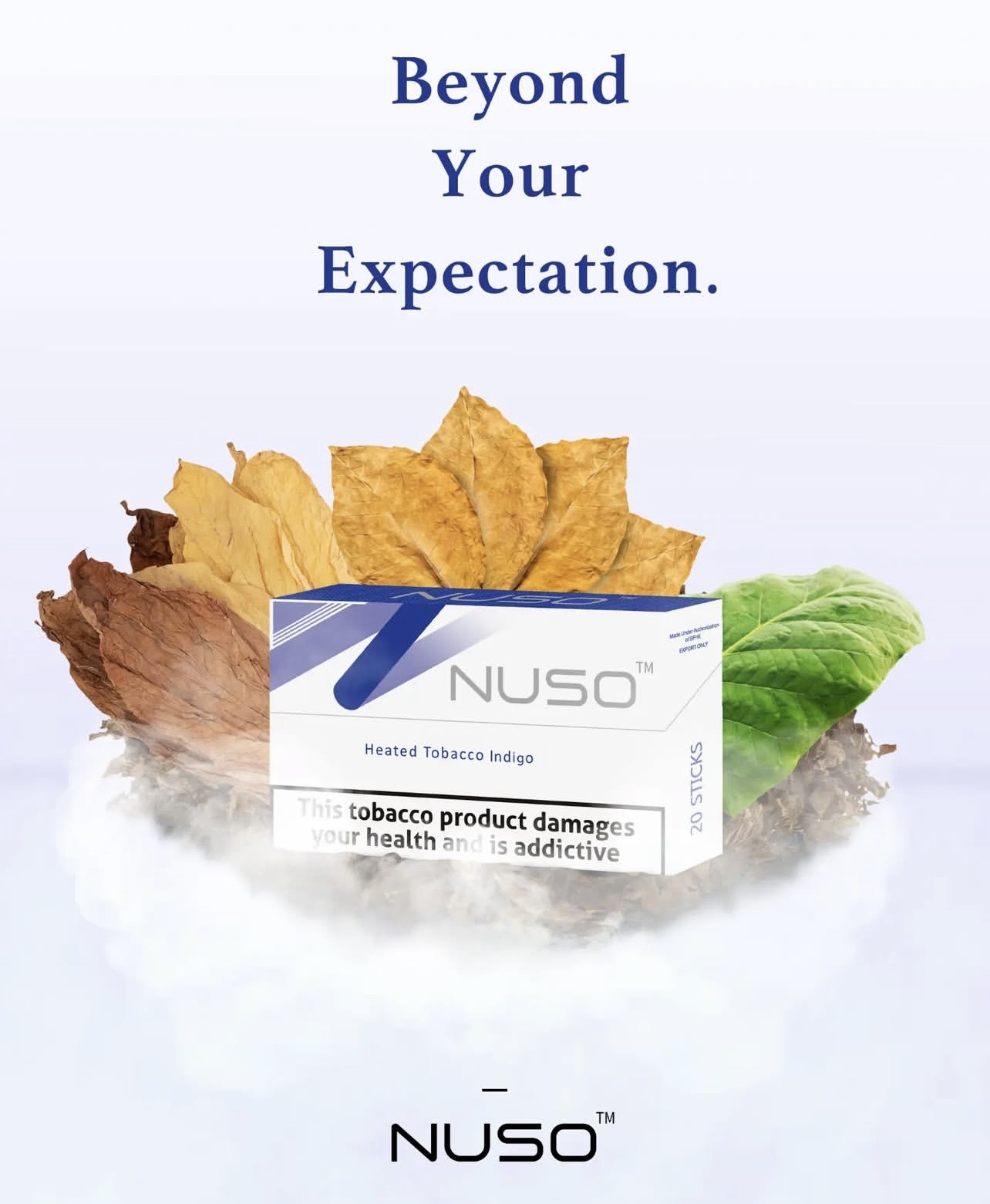 نوسو ایندیگو